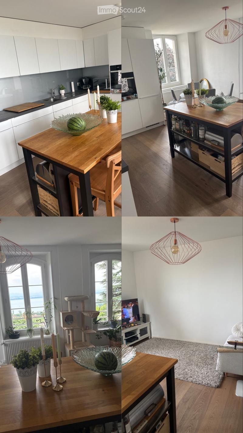 Apartment 3.5 rooms with terrace (1)