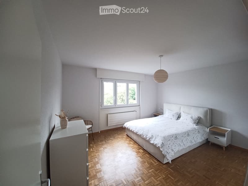 Bello appartamento a Friburgo con vista panoramica (5)