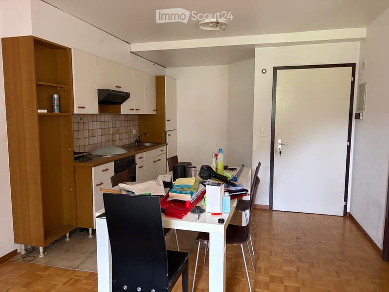 Grande monolocale o 2 locali (3)