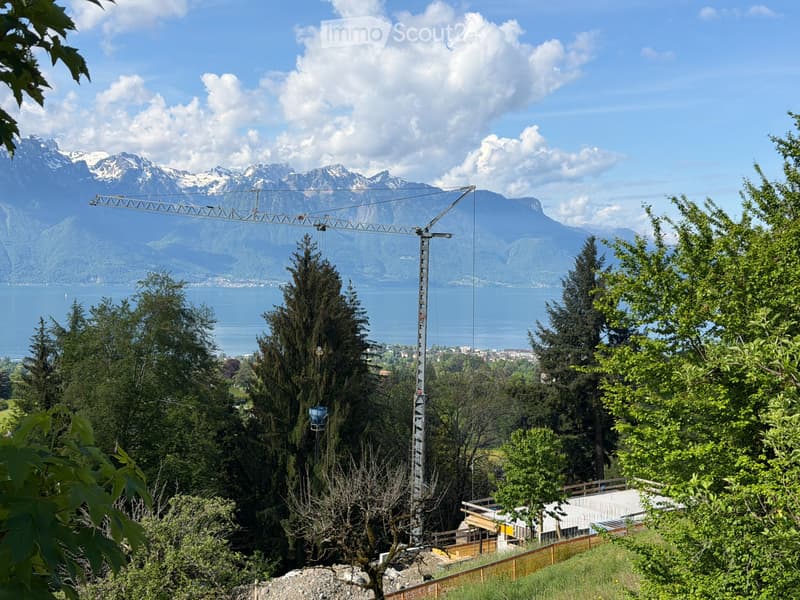 Blonay - Opportunità unica: parcella con vista e permesso di costruire (2)