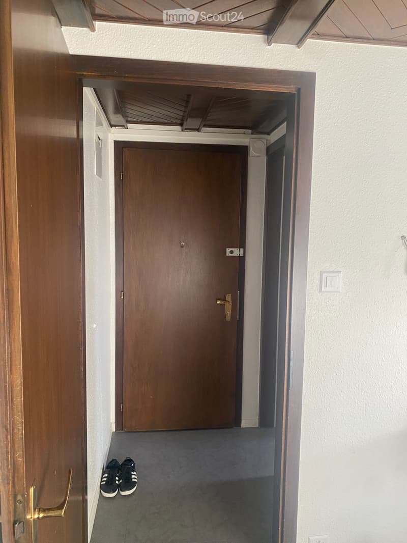 Appartement 1 pièce spacieux et très confortable (5)