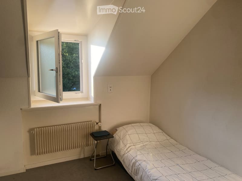 Appartement 1 pièce spacieux et très confortable (3)