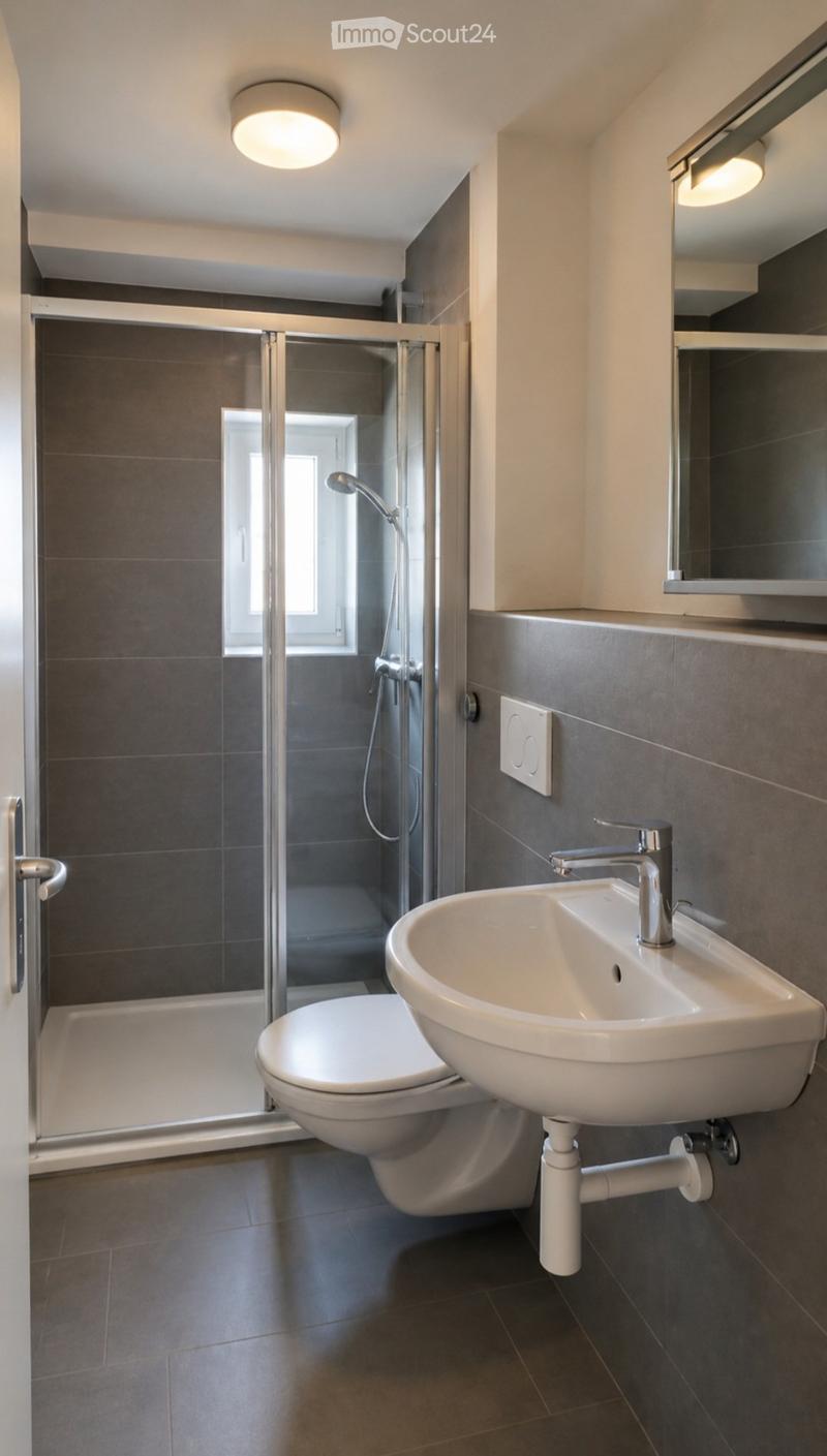 For rent, 4-room renovated apartment in Travers (5)