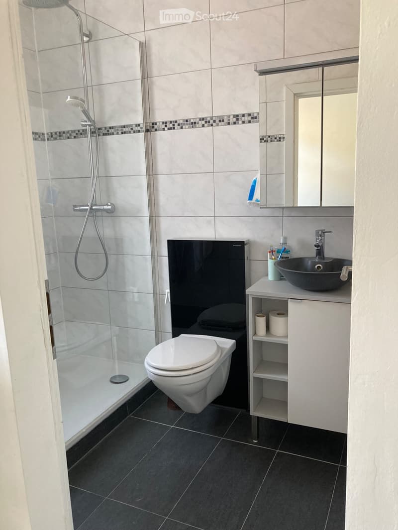 Beautiful 2-room apartment in the Grand-Hôtel Résidence des Rasses (4)