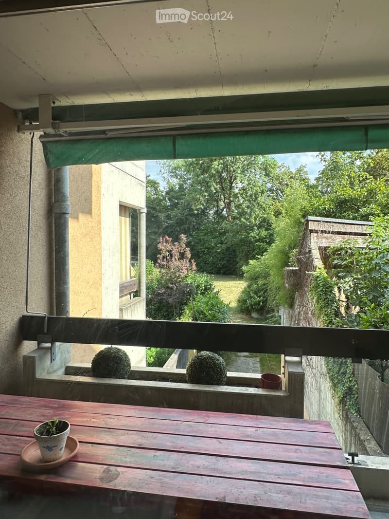 Ripreso il contratto di affitto di un appartamento di 5 locali a Vandoeuvres (4)
