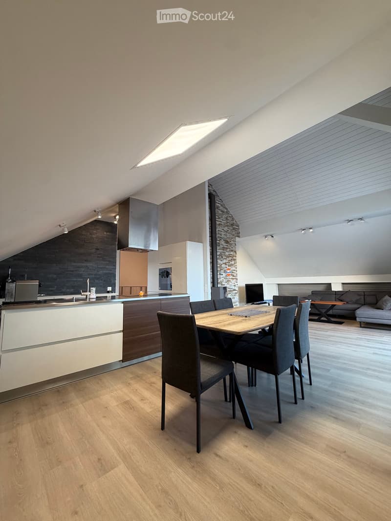 Loft / Penthouse 4,5 locali con ascensore privato (3)