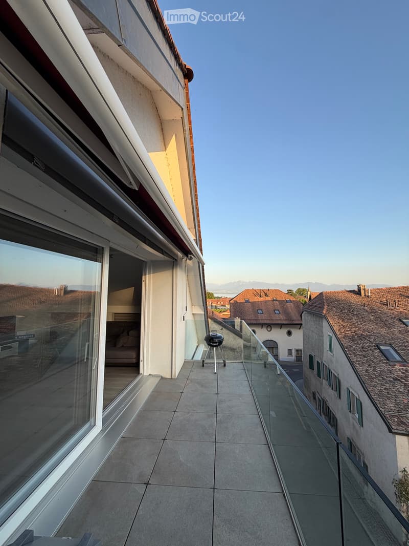 Loft / Penthouse 4,5 locali con ascensore privato (2)