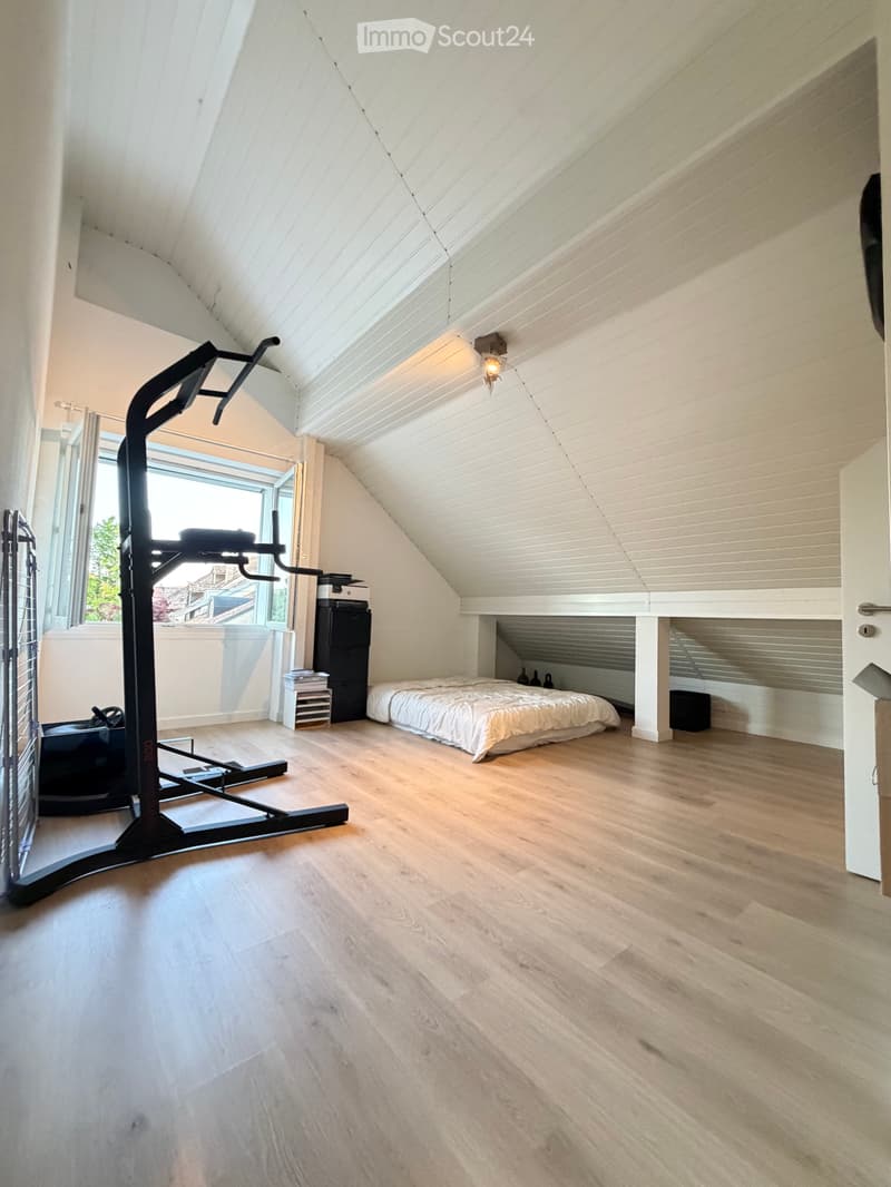 Loft / Penthouse 4,5 locali con ascensore privato (5)