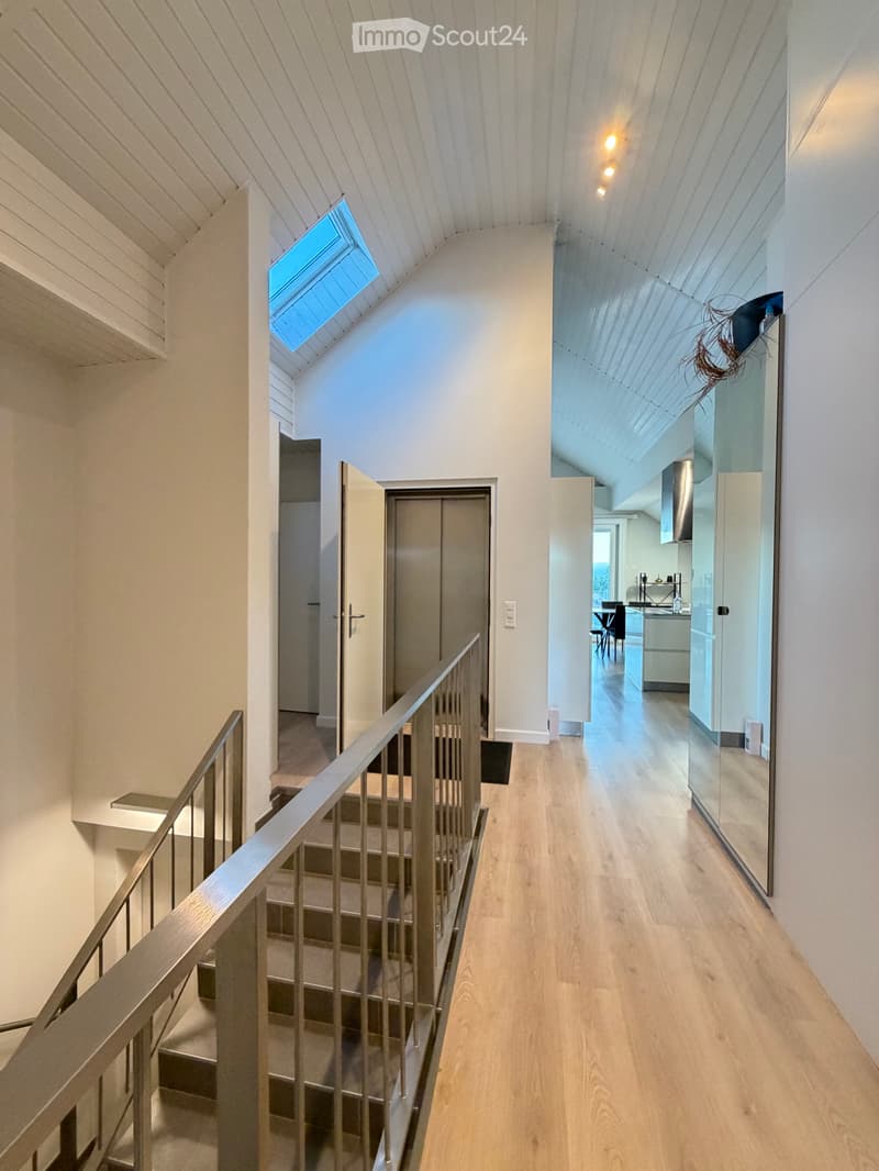Loft / Penthouse 4,5 locali con ascensore privato (1)