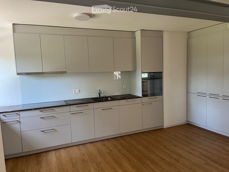 Appartamento di 4,5 locali_Quartiere Vignettaz-Beaumont (2)