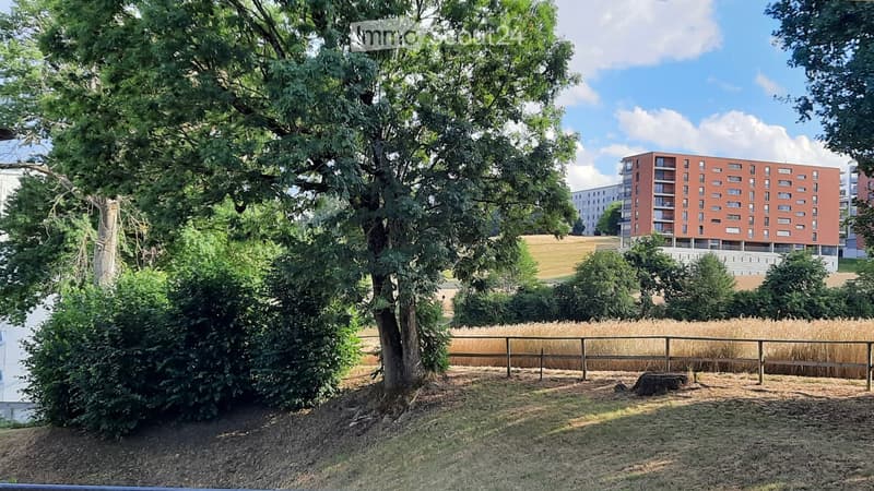 Appartamento di 4,5 locali_Quartiere Vignettaz-Beaumont (1)