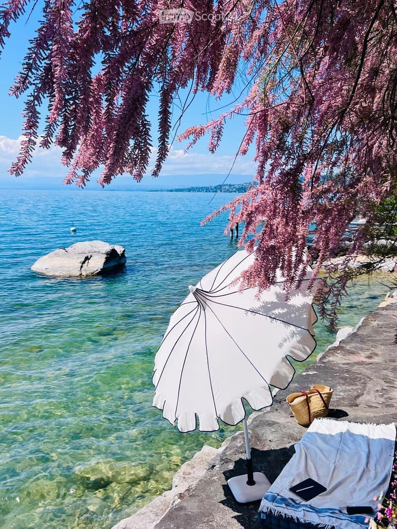In affitto: Appartamento eccezionale sulle rive del Lago di Ginevra (3)