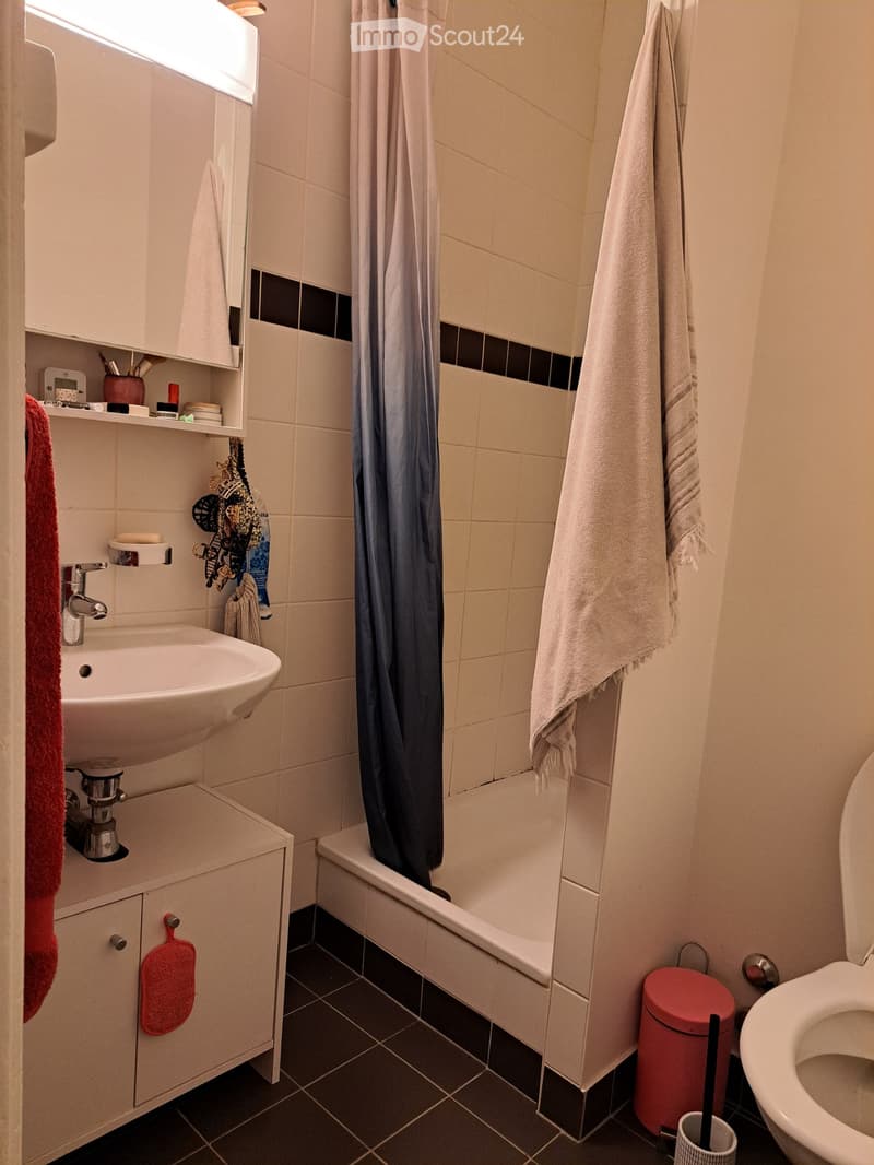 Ripreso in affitto - 2 locali a Pâquis (1138 CHF/mese) (5)