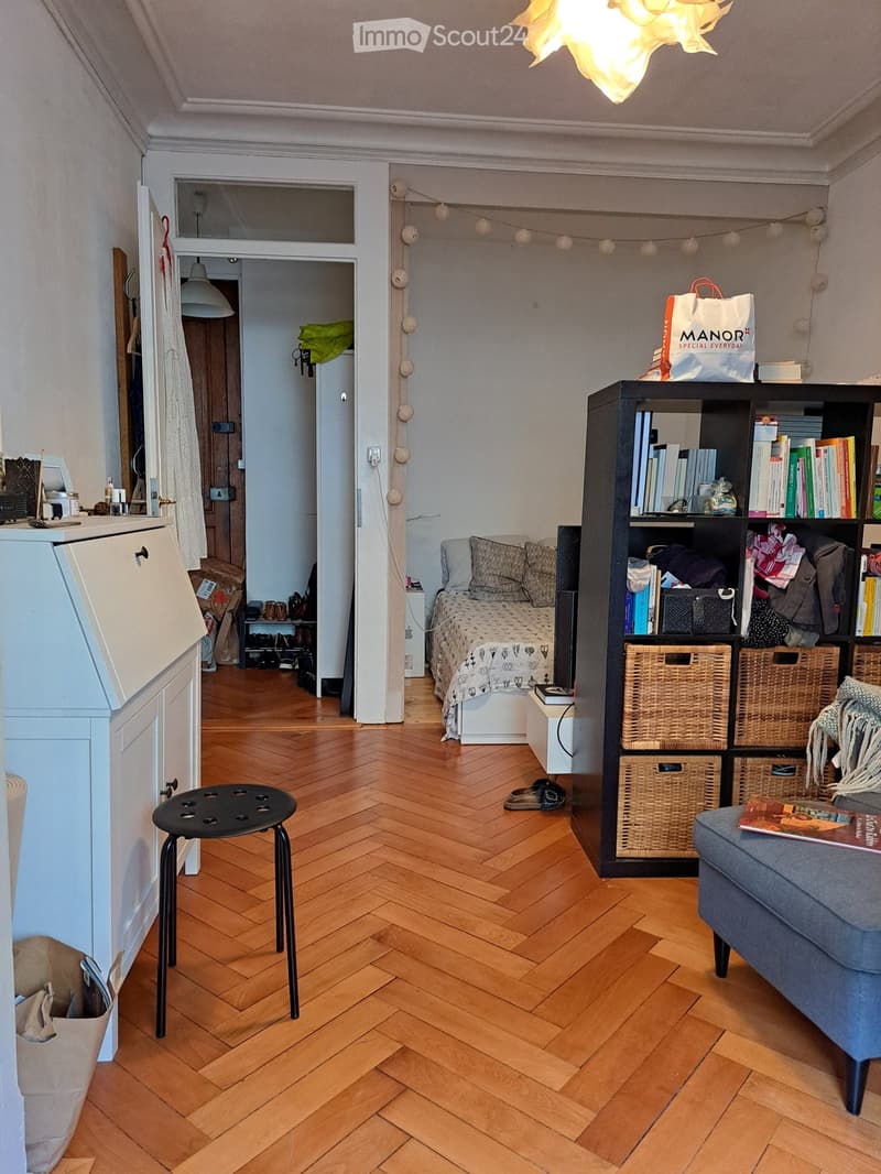 Ripreso in affitto - 2 locali a Pâquis (1138 CHF/mese) (1)