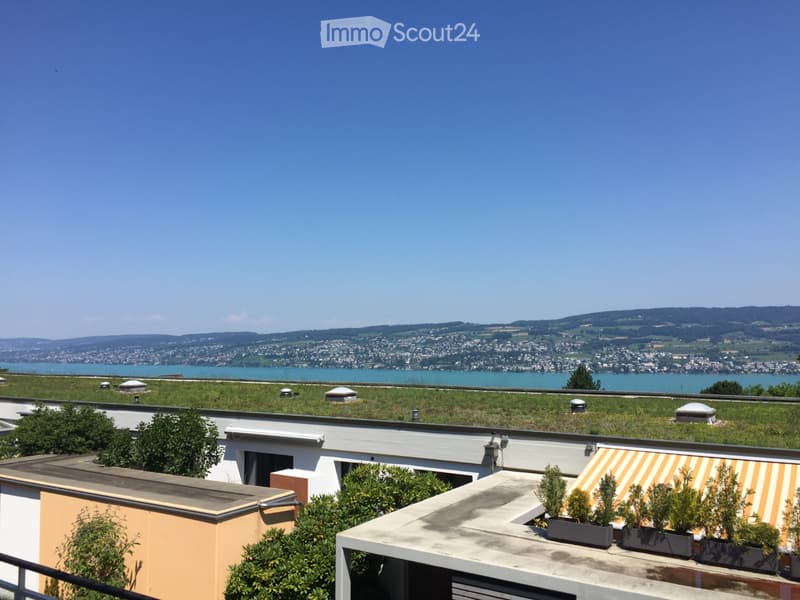 Seesicht - 6 1/2 Terrassen-Eckhaus in Horgen (ZH) (1)