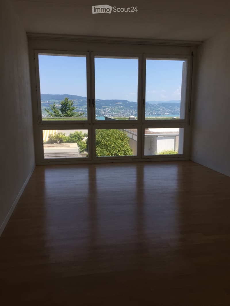 Seesicht - 6 1/2 Terrassen-Eckhaus in Horgen (ZH) (3)
