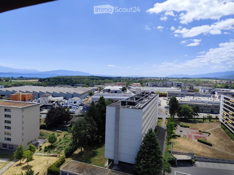 Appartamento luminoso di 3 locali con vista e balcone a Nyon (4)