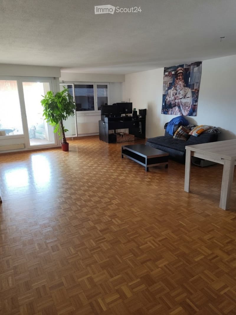 Appartamento luminoso di 3 locali con vista e balcone a Nyon (1)