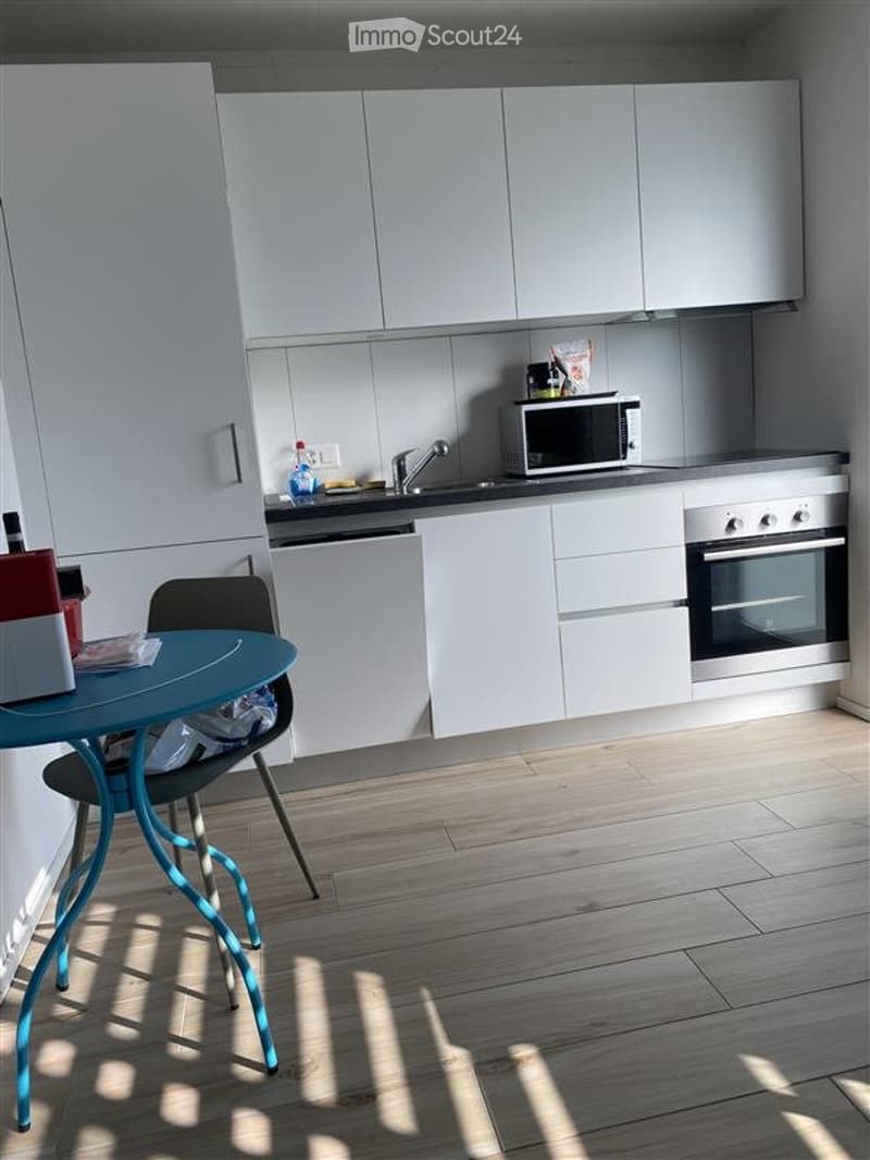 Charmantes kleines möbliertes Studio in ruhigem Quartier von Neuchâtel (2)