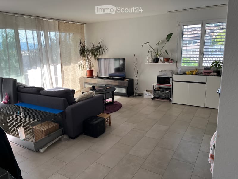 Appartement 3.5 à louer (3)