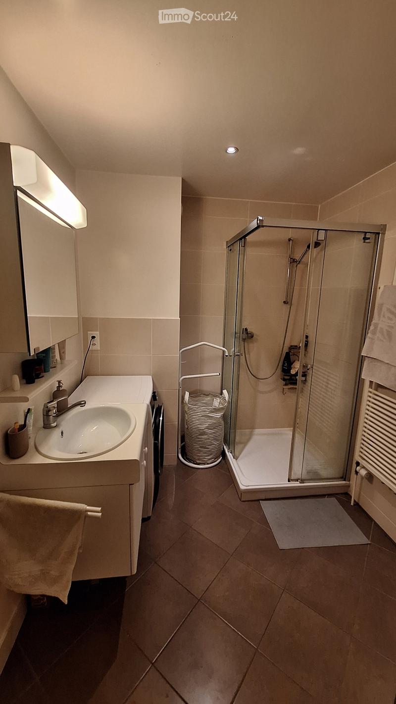 Location appartement 2,5pièces idéalement situé Plainpalais (3)