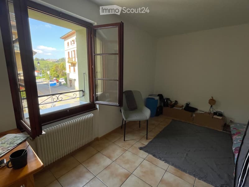 Geräumiges helles Studio in Montreux Chailly | absolute Ruhe (4)