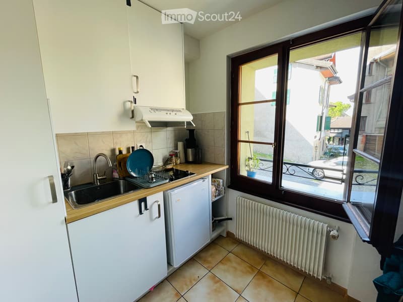 Geräumiges helles Studio in Montreux Chailly | absolute Ruhe (1)