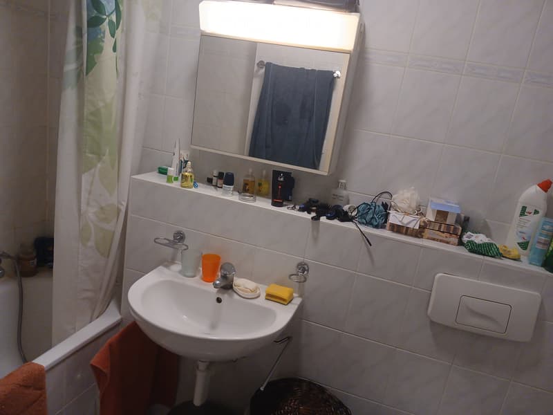 Schöne Forel-Wohnung (4)