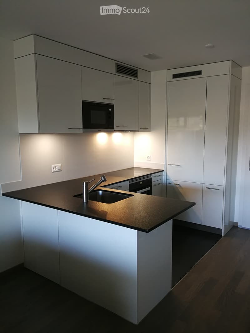 Bel appartement Minergie dans copropriété résidentielle (3)