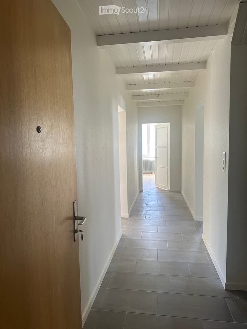 Wohnung 3 Zimmer renoviert (5)