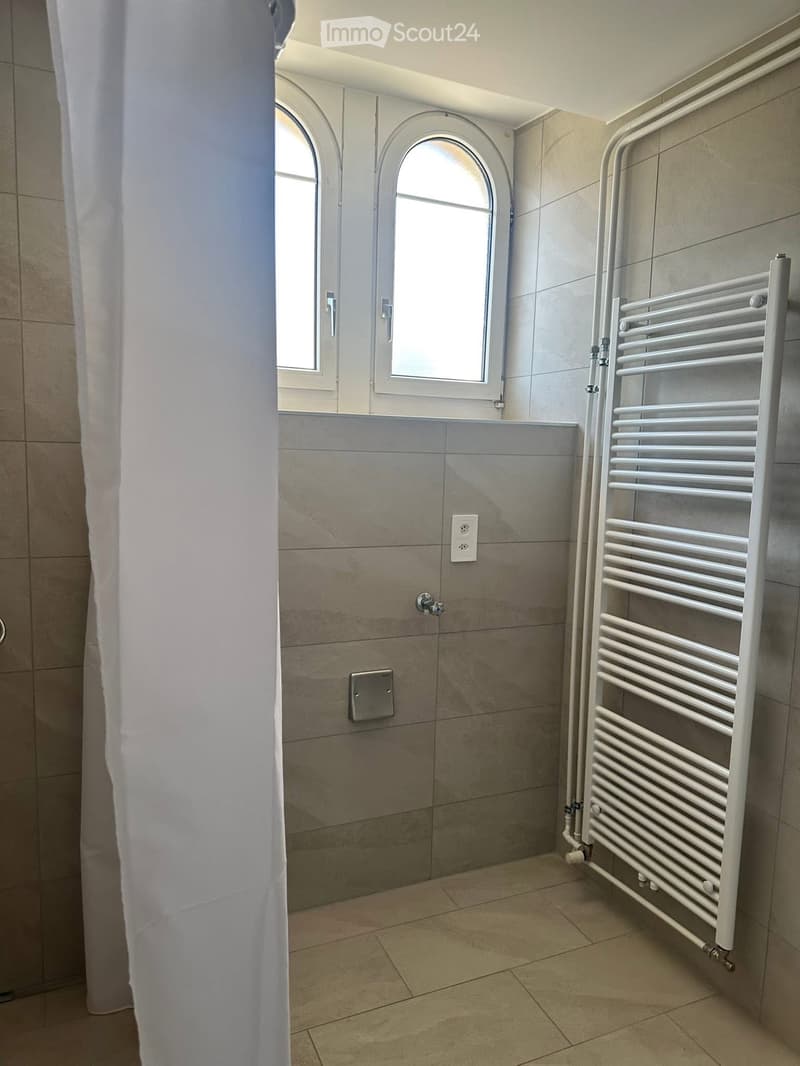 Wohnung 3 Zimmer renoviert (2)