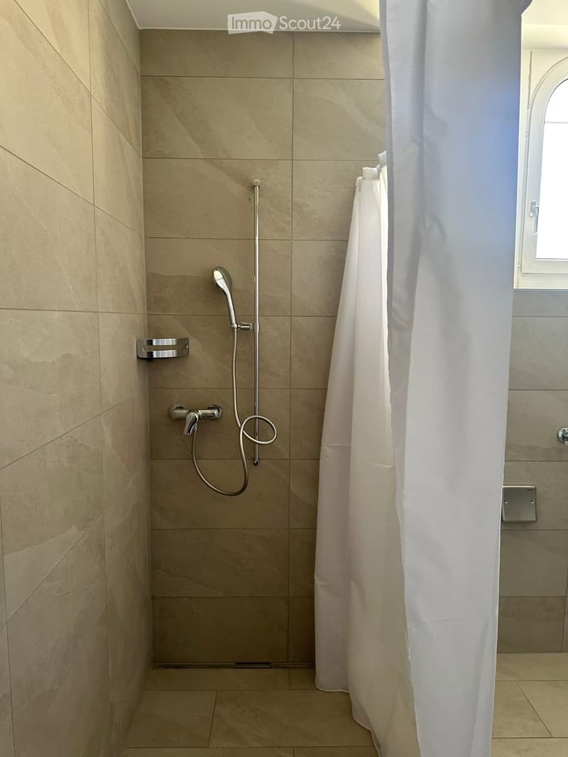 Wohnung 3 Zimmer renoviert (3)