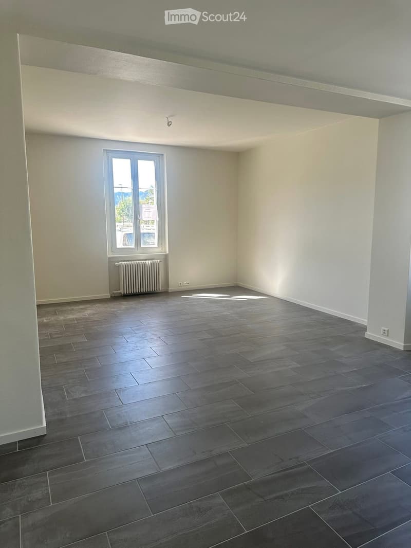 Wohnung 3 Zimmer renoviert (4)