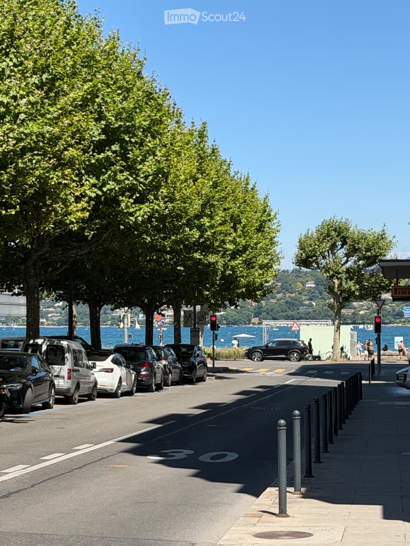 Charmant studio / 1,5 pièce au cur de Genève (Pâquis) (5)