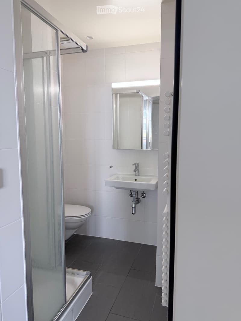 Charmant studio / 1,5 pièce au cur de Genève (Pâquis) (3)
