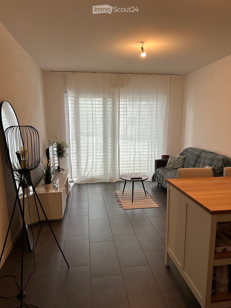Superbo appartamento di 2,5 locali - Vevey (1)