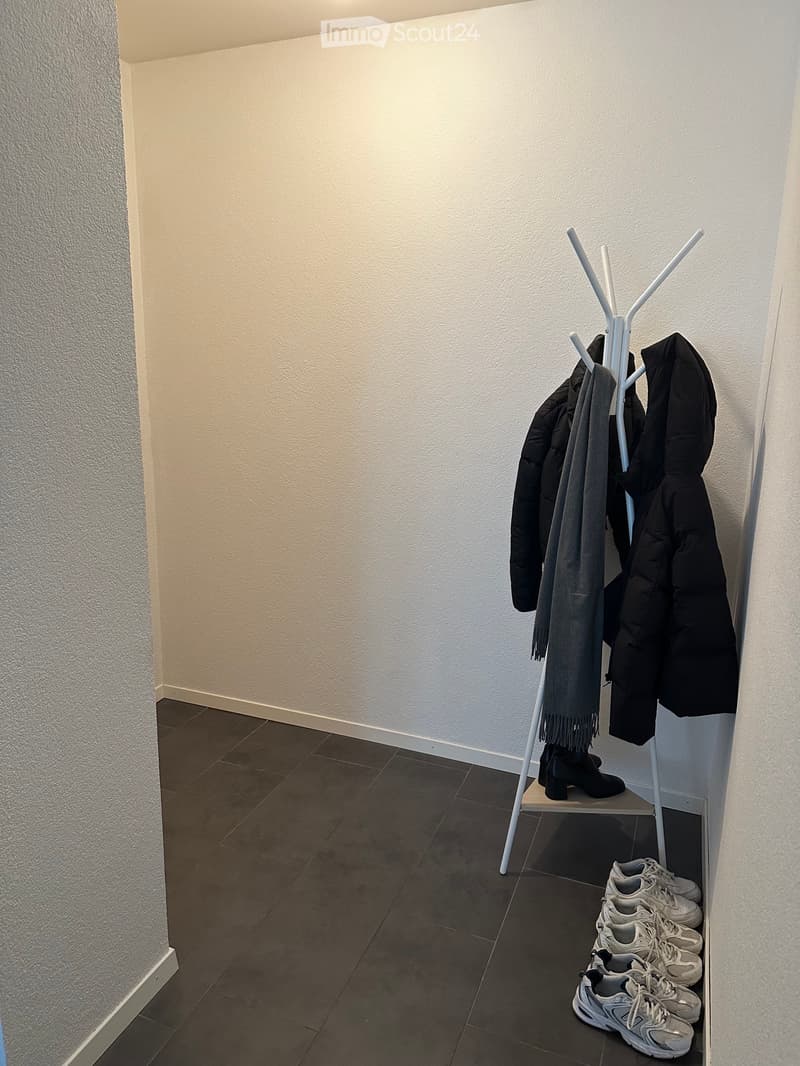 Superbo appartamento di 2,5 locali - Vevey (3)
