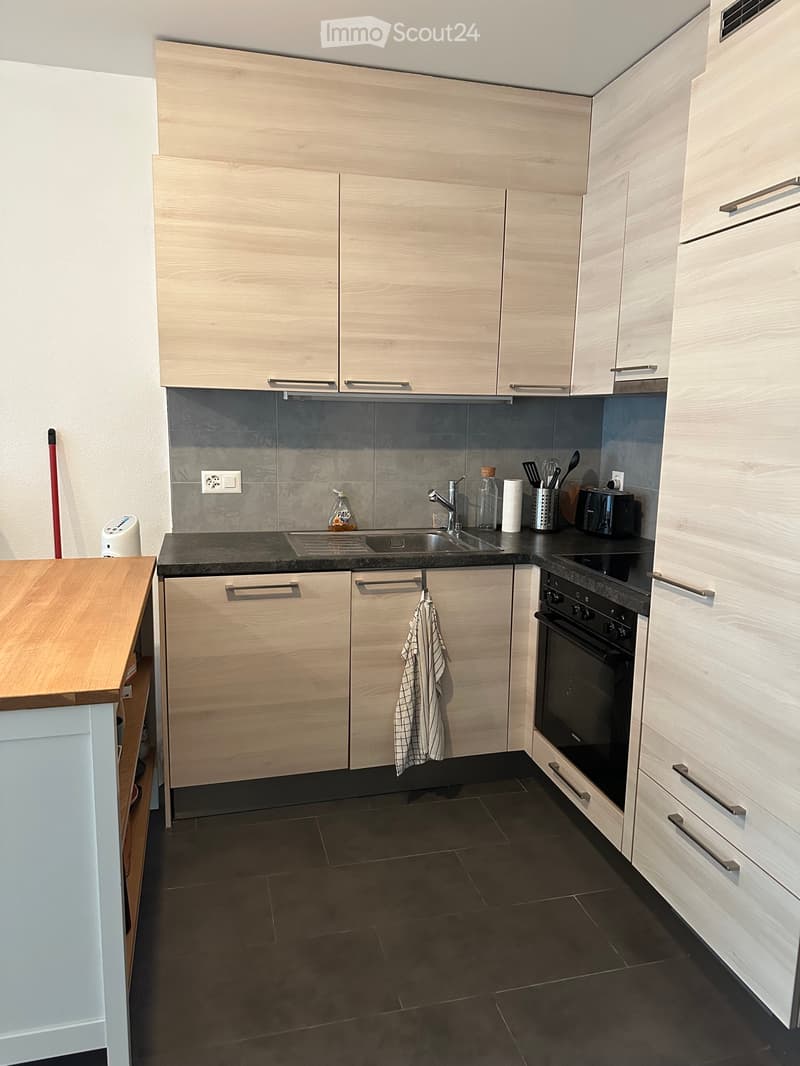 Superbo appartamento di 2,5 locali - Vevey (2)