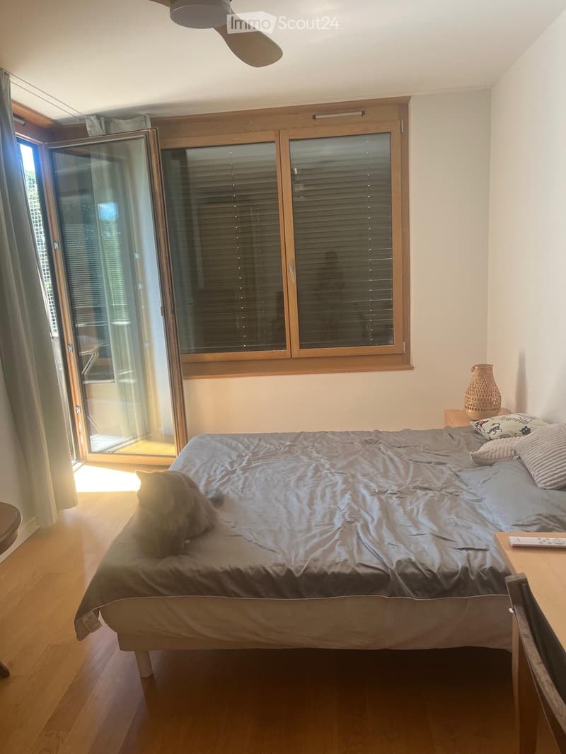 Room in shared apartment 16 2 (3)