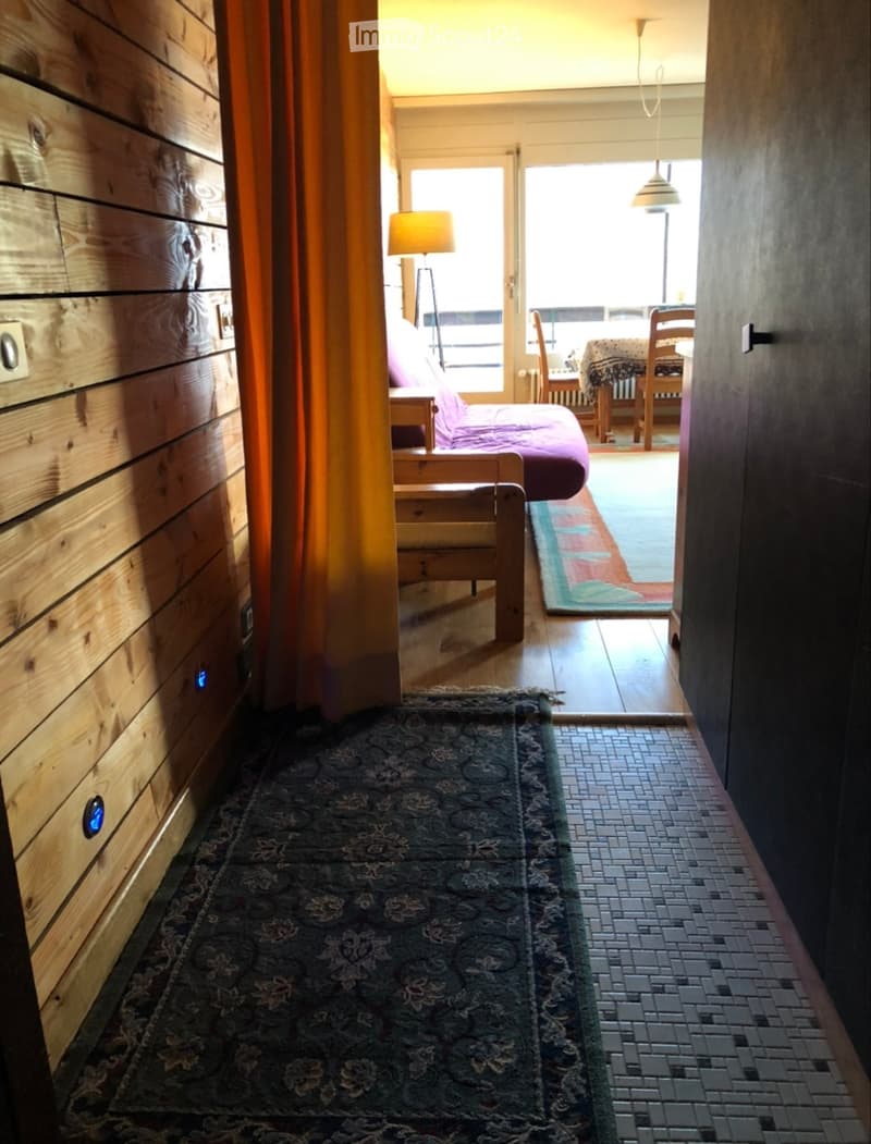Apartment 2,5 Leysin (4)