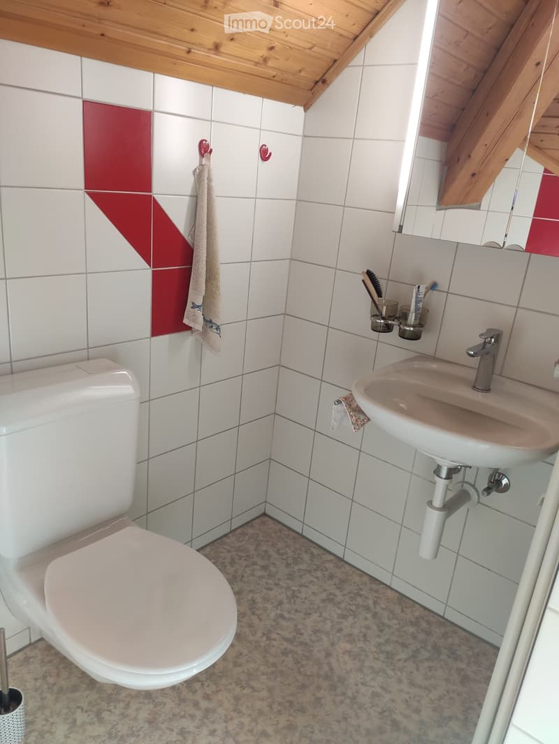 Contratto di affitto da rilasciare 2 pezzi a Friburgo (1)