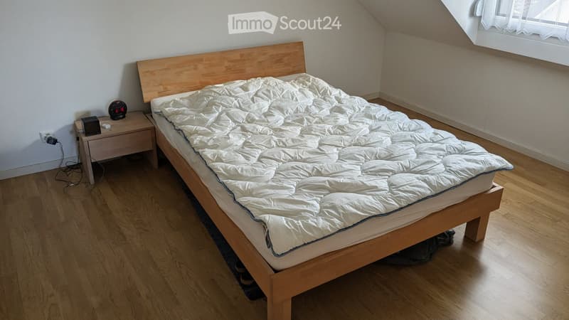 Incantevole appartamento di 2.5 locali luminoso nel cuore di Morges (4)