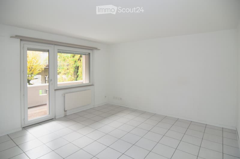 Appartamento di due locali, 2° piano, sudovest (1)
