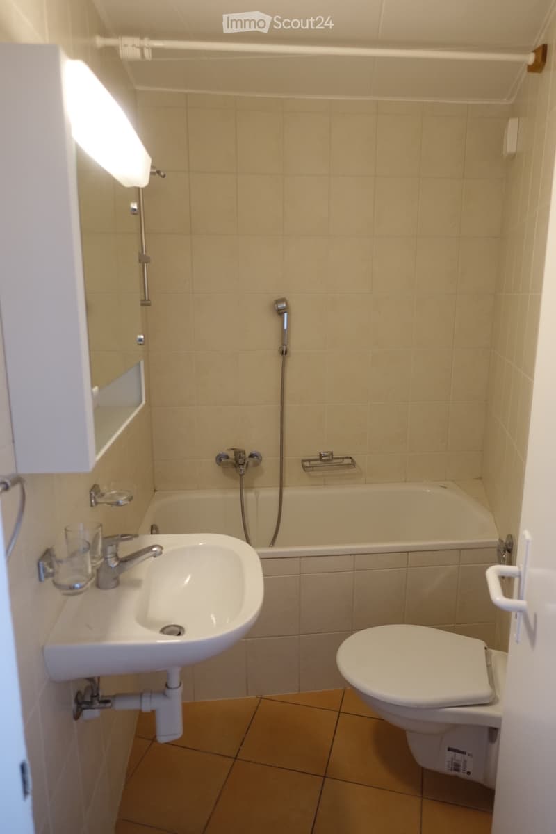 Appartamento 2,5 locali (4)