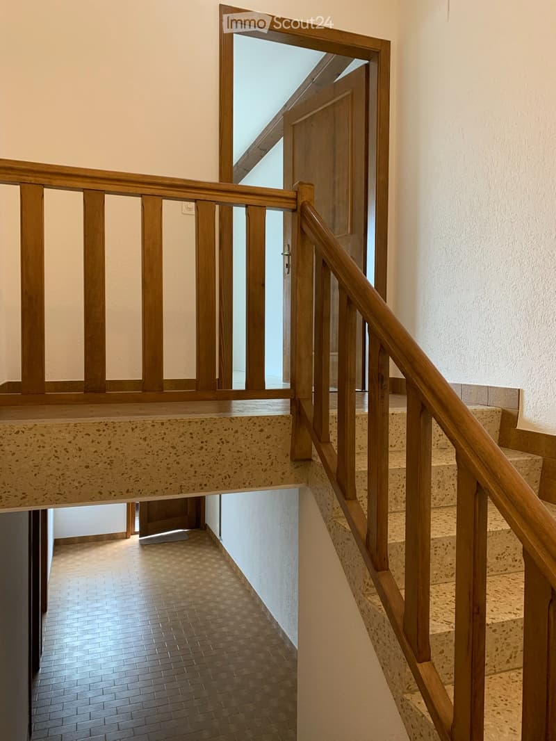 Châtel-St-Denis, ampio appartamento 5,5 locali, centro con giardino privato (12)