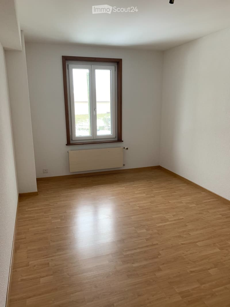 Châtel-St-Denis, ampio appartamento 5,5 locali, centro con giardino privato (6)