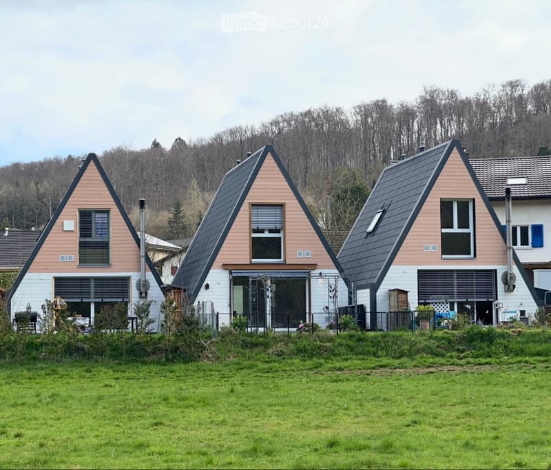 Charming wooden house in A-Style in the Jura (1)