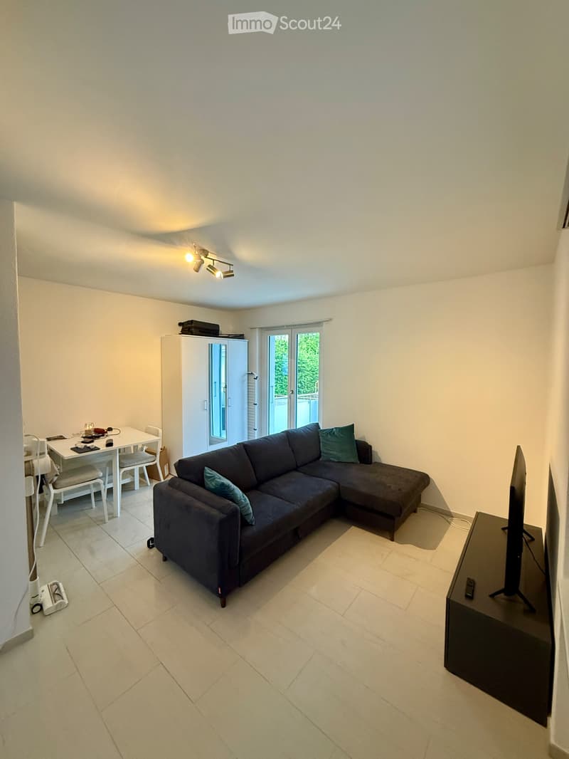 Nachmieter/in gesucht - 1.5-Zimmer-Wohnung in Olten (3)