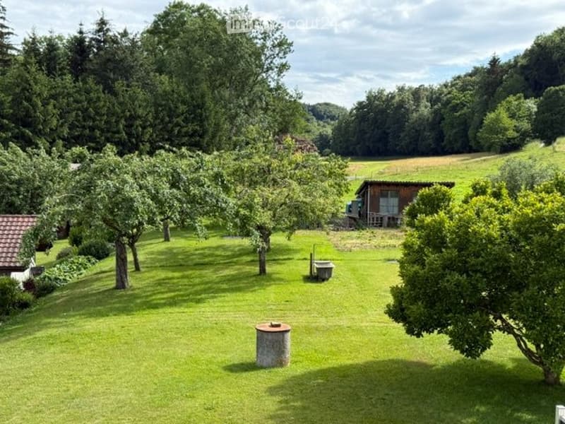 Bello appartamento di 2,5 locali in un ambiente verde e tranquillo (2)