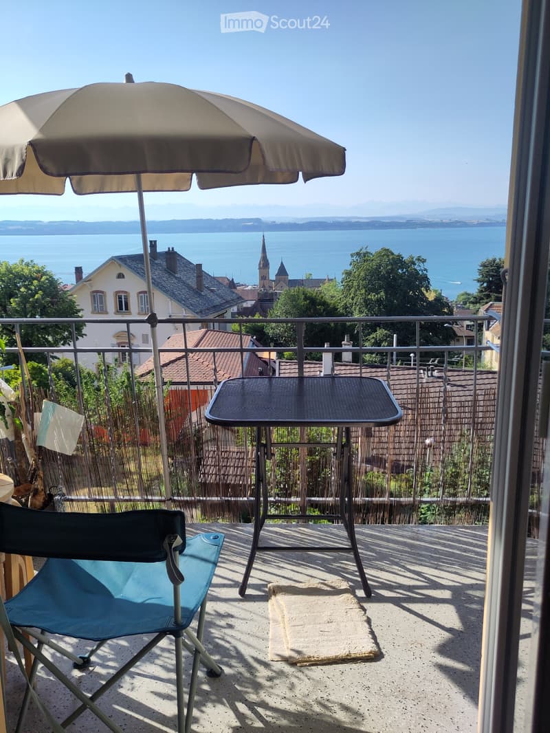 Apartment in Rue de la Côte district, with a view of the lake (2)
